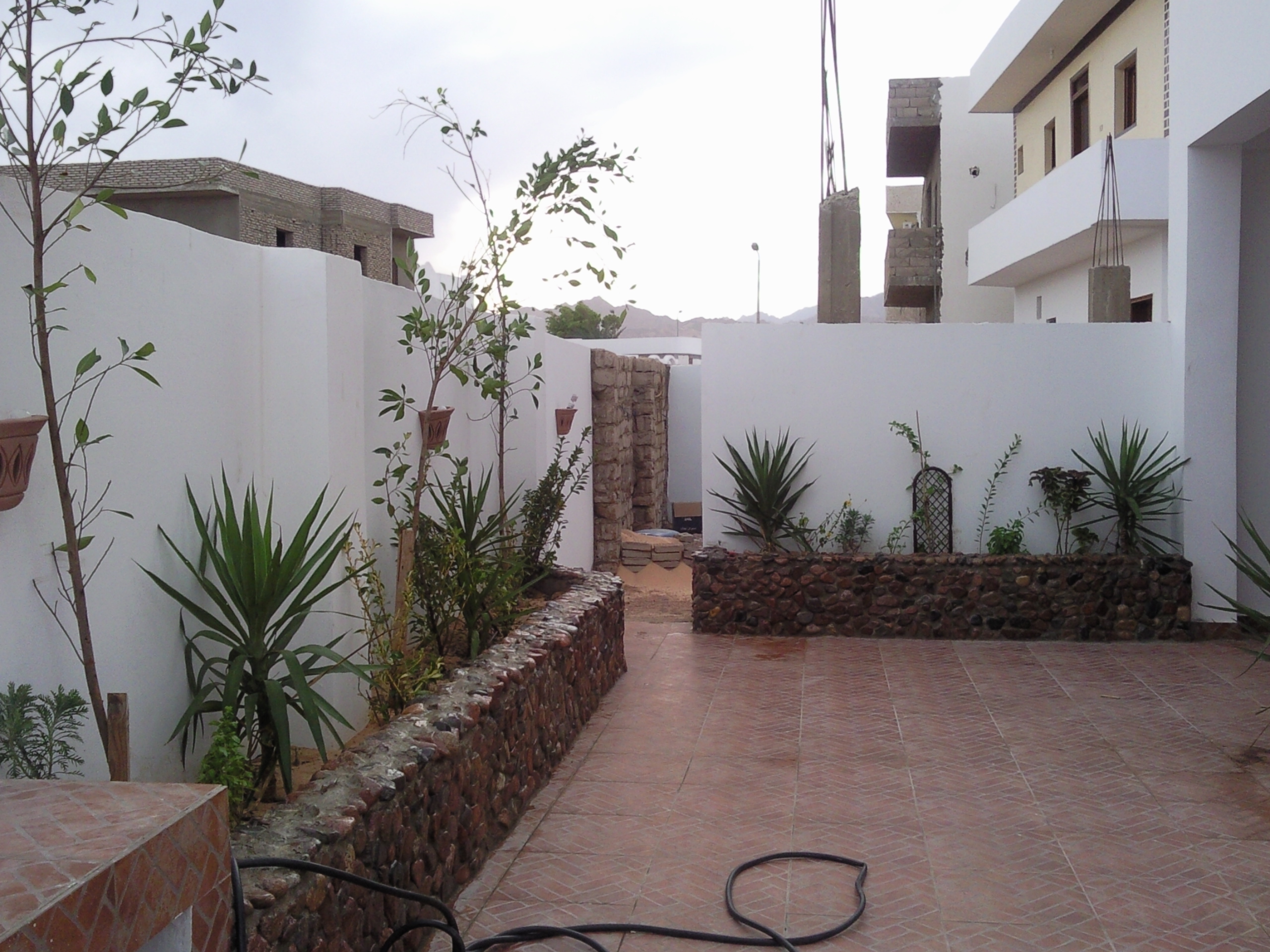 Eel garden apartments Dahab Real Estate (Rentals)